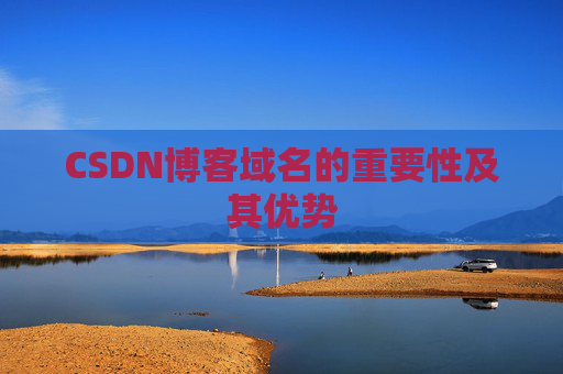 CSDN博客域名的重要性及其优势